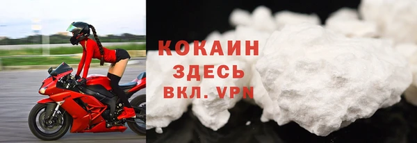 спиды Богданович