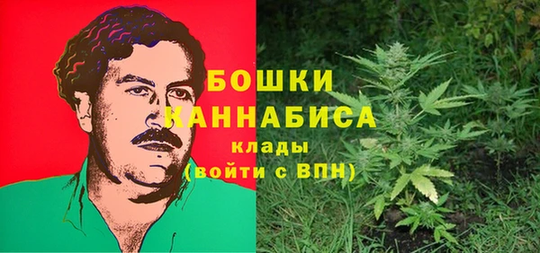 мет Арсеньев