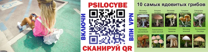 Псилоцибиновые грибы ЛСД  Сунжа 