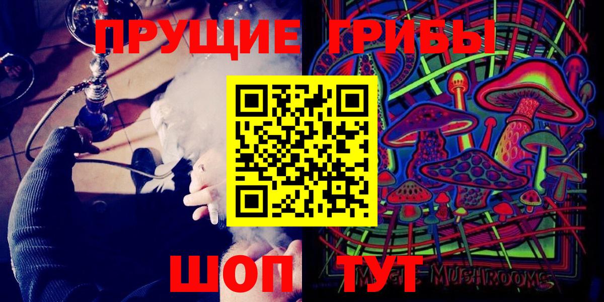 Сунжа  Псилоцибиновые грибы мухоморы  Вход с VPN  Псилоцибиновые грибы Psilocybe 